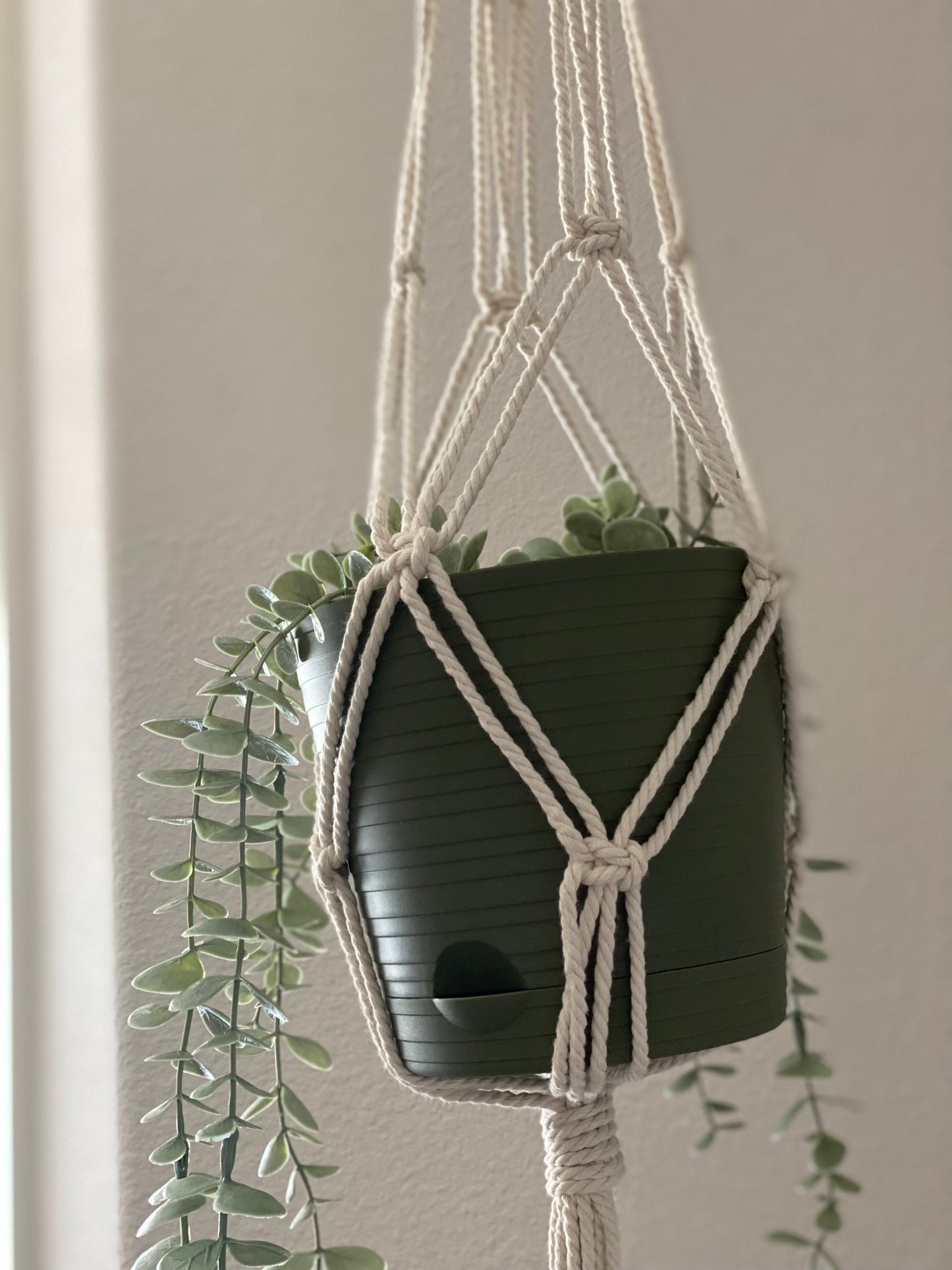 Macrame Plant Hanger | Plant Basket | Boho | Simple