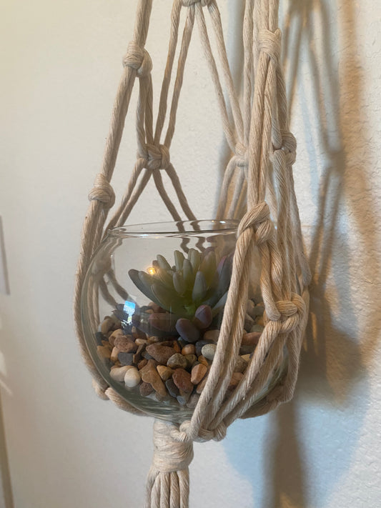 Macrame Plant Wall Hanger | Succulent Planter Hanger